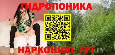 прущие крисы Ипатово
