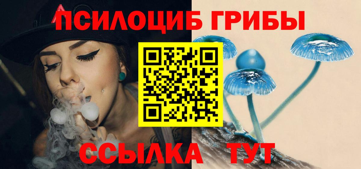 Кыштым  Галлюциногенные грибы MAGIC MUSHROOMS  Вход с VPN 