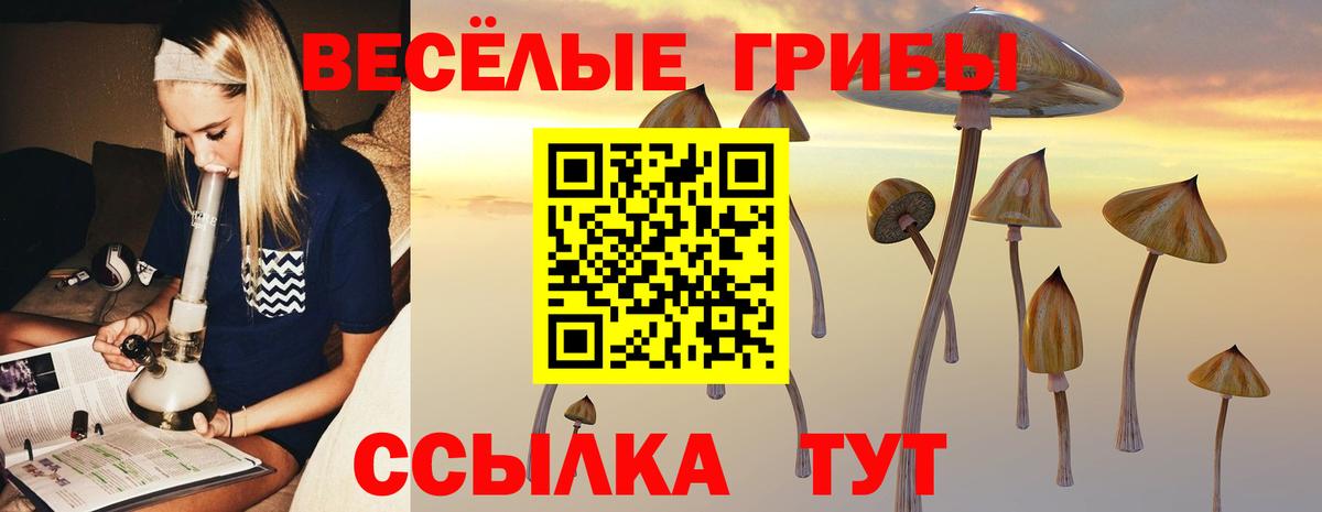 Галлюциногенные грибы Psilocybine cubensis Кыштым